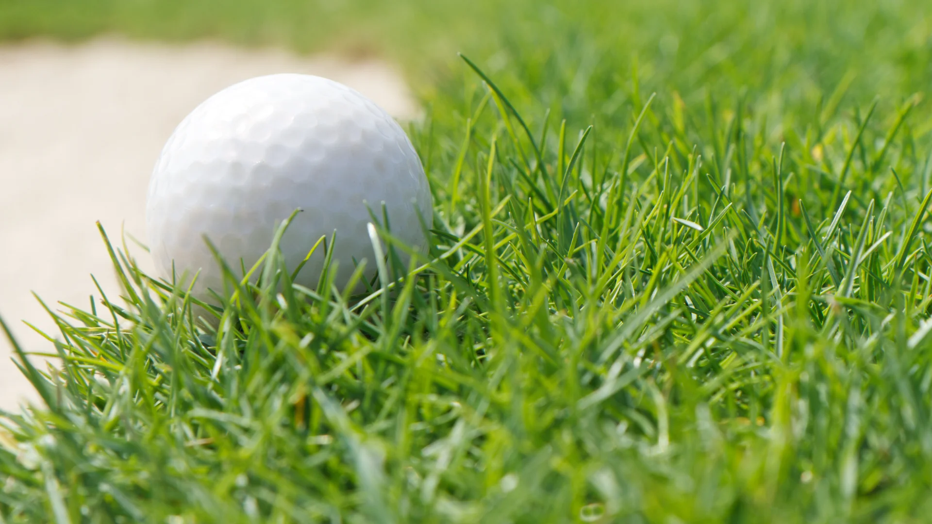 Collin Morikawa, 24, captured his second major championship at the 149th Open