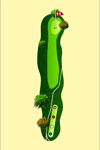 708 Wood Map Hole 11