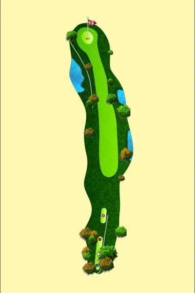 708 Wood Map Hole 12