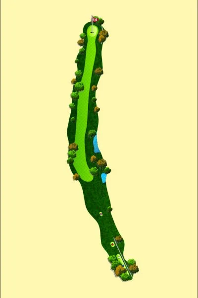 708 Wood Map Hole 14