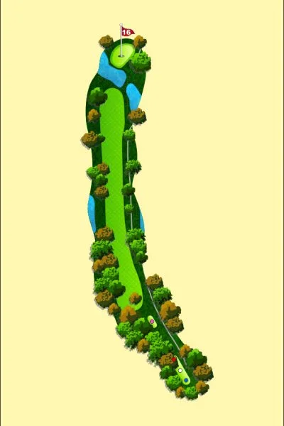 708 Wood Map Hole 16
