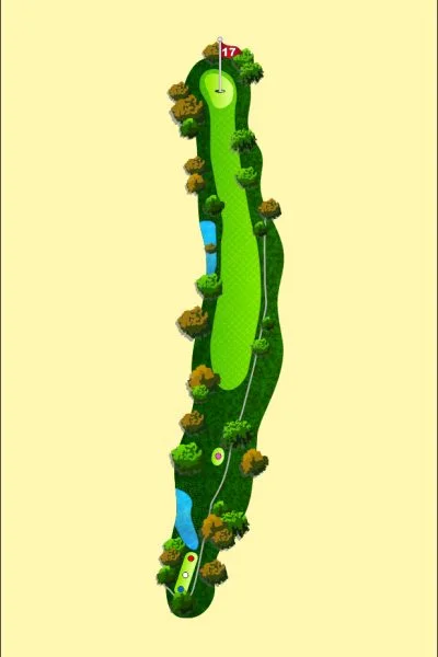 708 Wood Map Hole 17