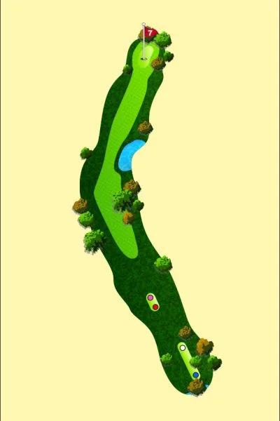 708 Wood Map Hole 7