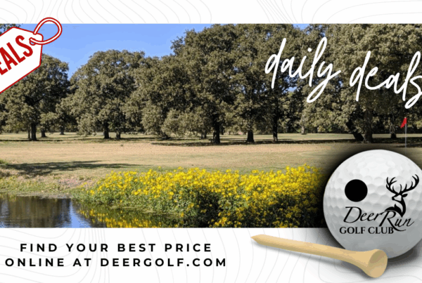 find your best price online with daily deals